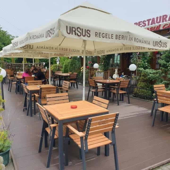 Pensiunea Carul Cu Flori Oravita Exterior photo