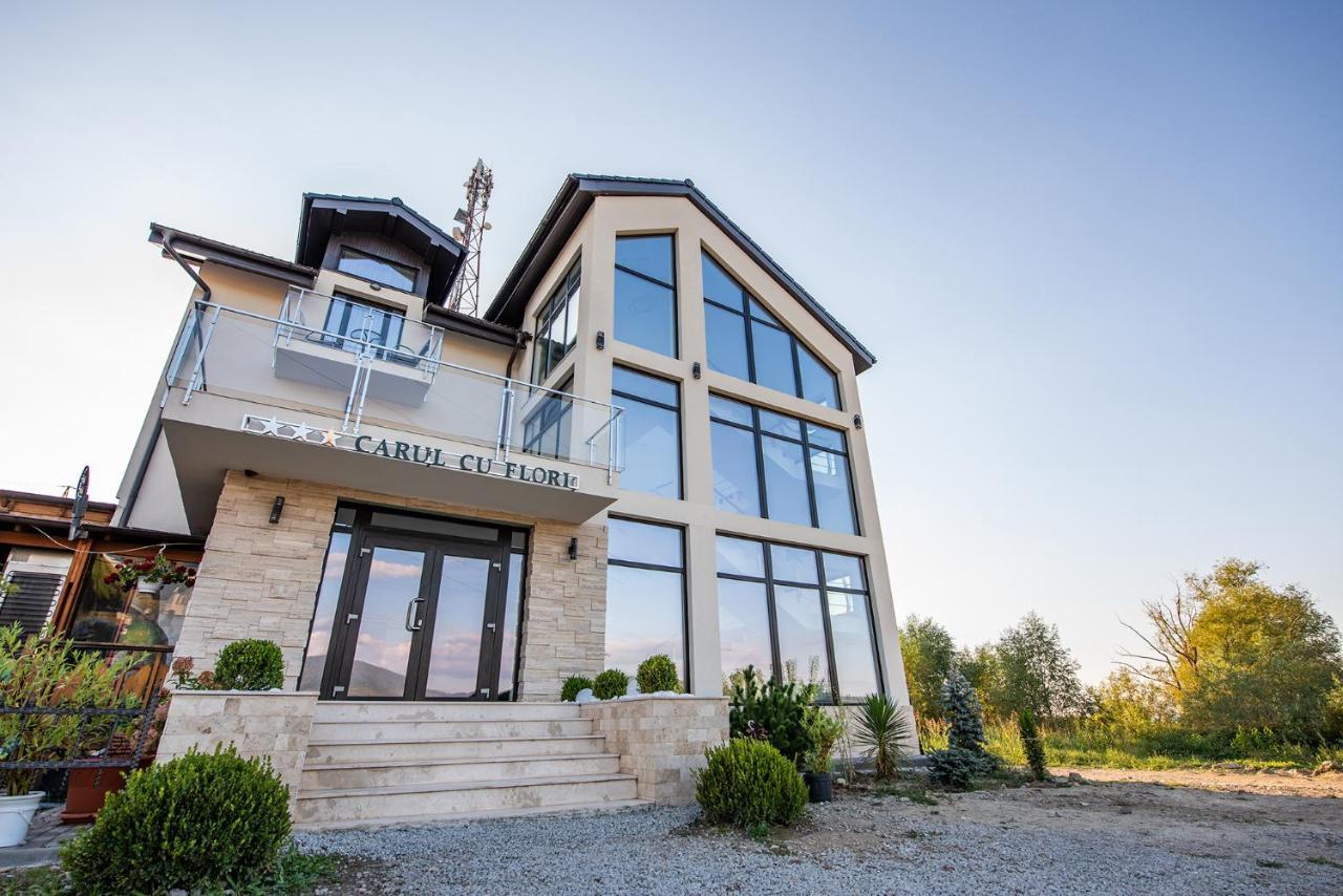 Pensiunea Carul Cu Flori Oravita Exterior photo